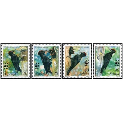 4 عدد تمبر صندوق جهانی حیات وحش - دارکوب سیاه - WWF - B- صربستان 2007