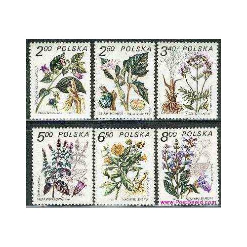 6 عدد تمبر گلهای داروئی - لهستان 1980