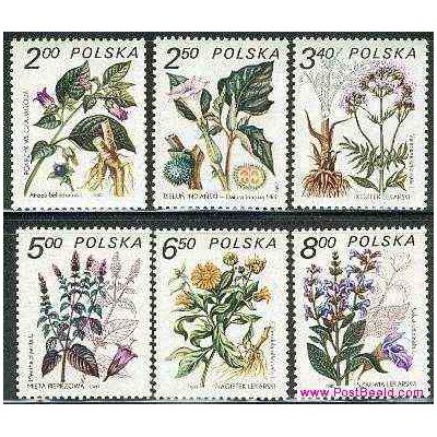 6 عدد تمبر گلهای داروئی - لهستان 1980