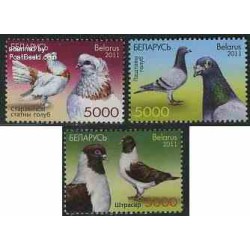 3 عدد تمبر کبوترها - بلاروس 2011
