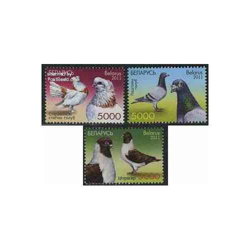 3 عدد تمبر کبوترها - بلاروس 2011
