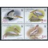 تمبر خارجی - 4 عدد تمبر پلیکانها - WWF - اکراین 2007