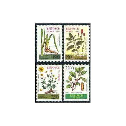 تمبر خارجی - 4 عدد تمبر گیاهان داروئی - بلاروس 1996