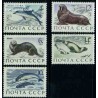 تمبر خارجی -  5 عدد تمبر جانوران دریائی - شوروی 1971