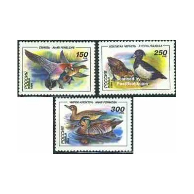3 عدد تمبر اردکها - روسیه 1994