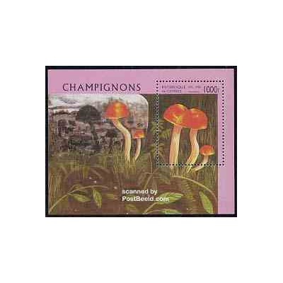 سونیرشیت قارچها - جمهوری گینه 1996