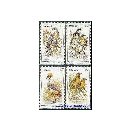 4 عدد تمبر پرندگان - ترنسکی - آفریقای جنوبی 1980