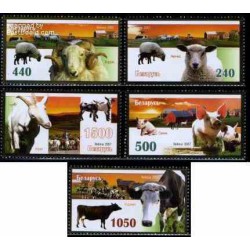 5 عدد تمبر حیوانات اهلی - بلاروس 2007