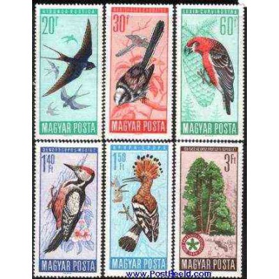 6 عدد تمبر حفاظت از پرندگان - مجارستان 1966