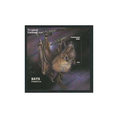 سونیرشیت خفاشها - تانزانیا 1995