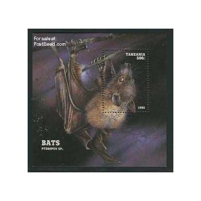 سونیرشیت خفاشها - تانزانیا 1995