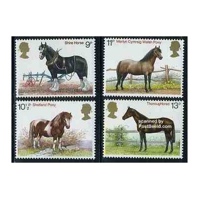 4 عدد تمبر انجمن اسب شایر - انگلیس 1978