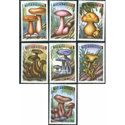 7 عدد تمبر قارچها - نیکارارگوئه 1985