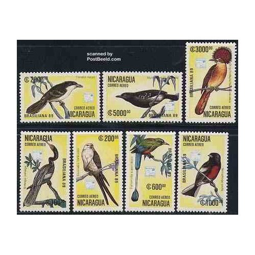 7 عدد تمبر پرندگان - نیکاراگوئه 1989