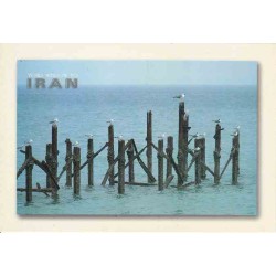 کارت پستال - ایرانی- چشم انداز ایران - ساحل
