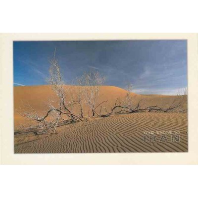 کارت پستال - ایرانی- چشم انداز ایران - کویر یزد