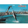 کارت پستال خارجی شماره 41 - ریمینی - ایتالیا