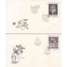 2 عدد پاکت مهر روز تابلوهای نقاشی گالری ملی- تابلو گل-  چک اسلواکی 1976