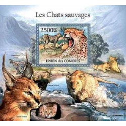 مینی شیت پستانداران - گربه های وحشی - 2 - کومور 2011 قیمت 14 دلار