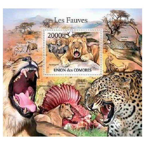 مینی شیت پستانداران - گربه سانان بزرگ - 2 - کومور 2011 قیمت 14 دلار