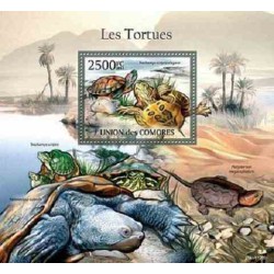 مینی شیت لاکپشتها - 2 - کومور 2011 قیمت 14 دلار