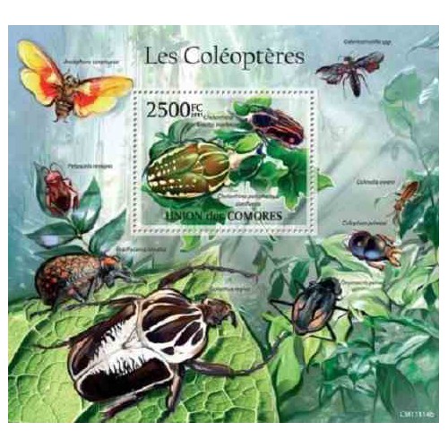 مینی شیت حشرات - سوسکها - 2 - کومور 2011 قیمت 14 دلار