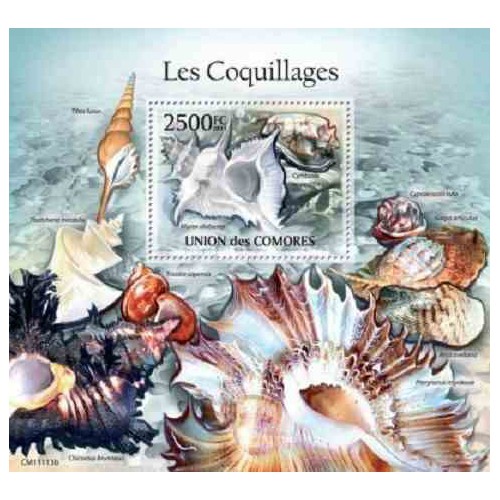 مینی شیت حیات دریائی - صدفها - 2 - کومور 2011 قیمت 14 دلار