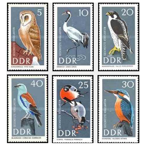 6 عدد تمبر پرندگان حفاظت شده - جمهوری دموکراتیک آلمان 1967 ثیمت 5.3 دلار