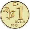 سکه 1 کروز - برنجی - ترکیه 2013 غیر بانکی