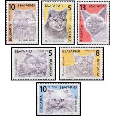 6 عدد تمبر گربه ها - 3 عدد از تمبرها تمبر گربه ایرانی - بلغارستان 1989