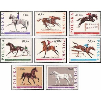 8 عدد تمبر ورزشهای سوارکاری و 150مین سال پرورش اسب ژانو پودالسکی - لهستان 1967 قیمت 8.2 دلار