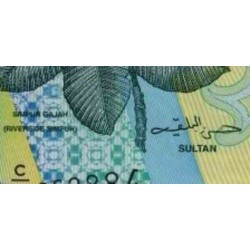 اسکناس پلیمر 1 رینگیت - دارالسلام برونئی 1996