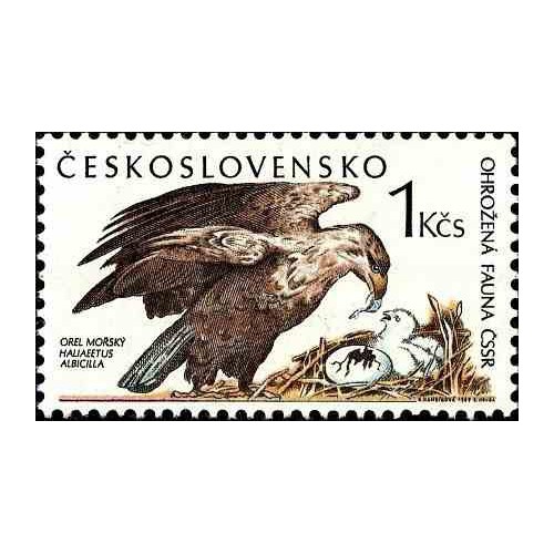 1 عدد تمبر گونه های در معرض خطر - عقاب دم سفید دریائی - چک اسلواکی 1989