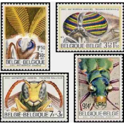 4 عدد تمبر باغ وحش آنتوب - حشرات - بلژیک 1971