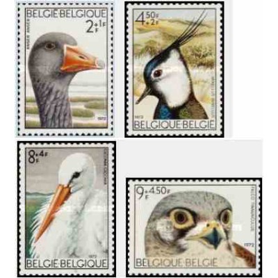 4 عدد تمبر پرندگان  - بلژیک 1972