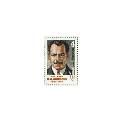 1 عدد تمبر یادبود نیکولای واویلوف - گیاهشناس - ژنتیک - شوروی 1977