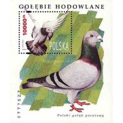 سونیرشیت کبوترهای دست آموز  - لهستان 1994