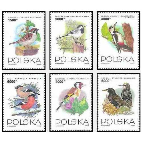 6 عدد تمبر پرندگان - لهستان 1993 قیمت 5 دلار