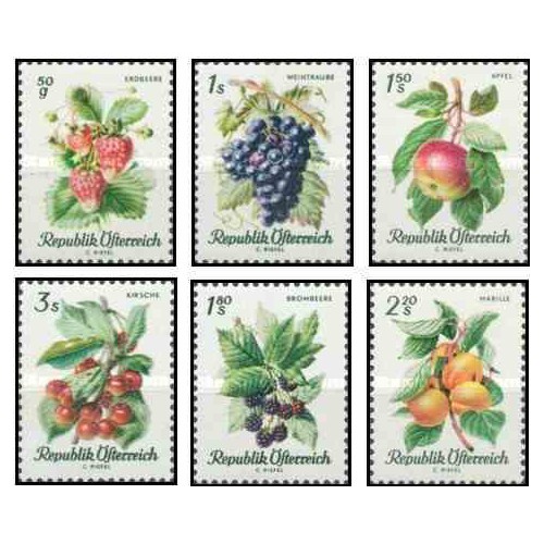 6 عدد تمبر گونه های میوه های خانگی - اتریش 1966