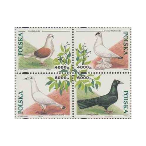 4 عدد تمبر کبوترهای دست آموز  - لهستان 1994