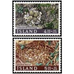 2 عدد  تمبر  خیریه - لانه پرندگان - ایسلند 1967