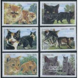 6 عدد تمبر گربه ها - گربه ایرانی -  کنگو 1999