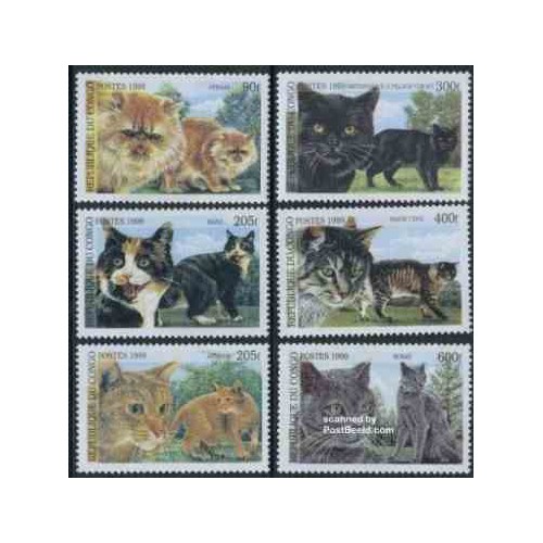 6 عدد تمبر گربه ها - گربه ایرانی -  کنگو 1999