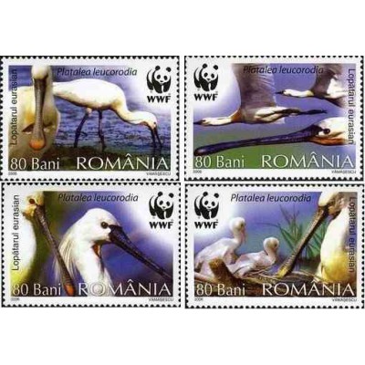 4 عدد تمبر پرنده کفچه نوک ارواسیائی - با تب - WWF - رومانی 2006