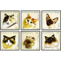 6 عدد تمبر گربه ها - یکی از تمبرها با تصویر گربه ایرانی - رومانی 2006