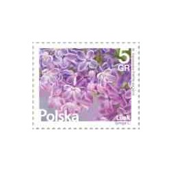 1 عدد تمبر سری پستی - گلها و میوه ها - لهستان 2015