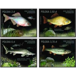 4 عدد تمبر گونه های ماهی در معرض انقراض - لهستان 2016