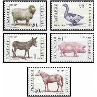 5 عدد تمبر حیوانات اهلی - بلغارستان 1991