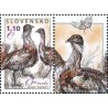 1 عدد  تمبر پرندگان - باسترد بزرگ - با تب - اسلواکی 2011 ارزش روی تمبر 1.1 یورو