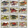 12 عدد تمبر ماهیها - جمهوری گینه 1971
